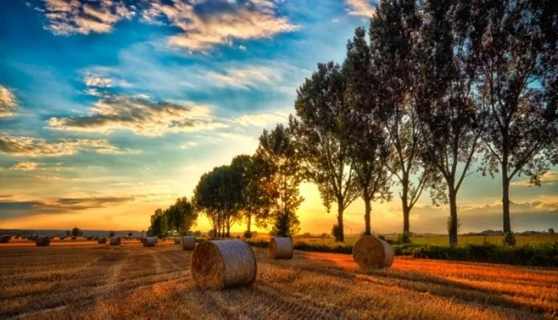 Sierpniowe litanie i duchowe praktyki – odkryj, co warto znać w tym miesiącu