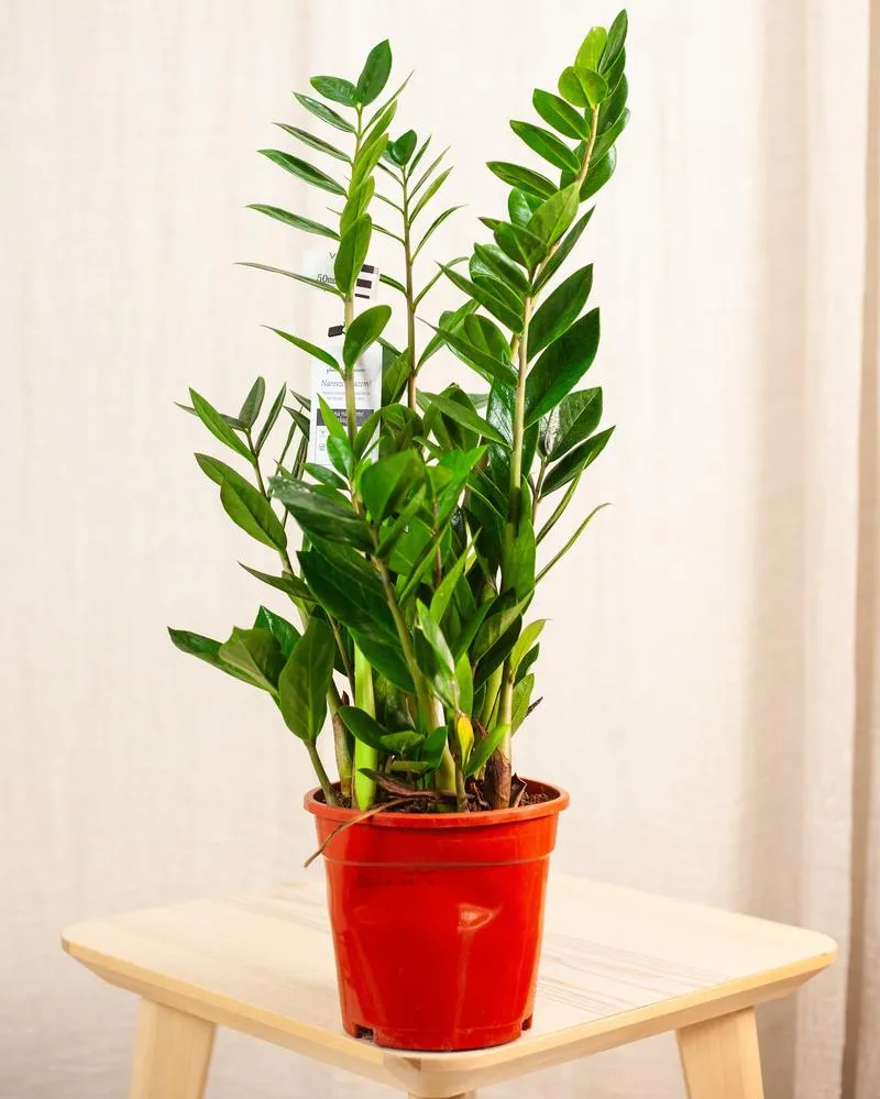 Dekoracje kościelne z kwiatów