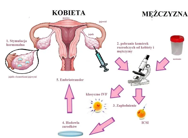 Etyczne i moralne dylematy in vitro