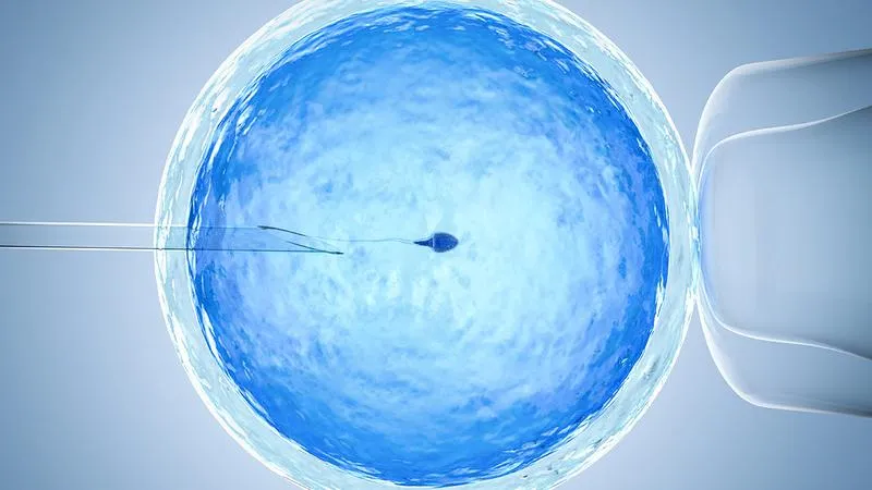 In vitro a nauka Kościoła katolickiego