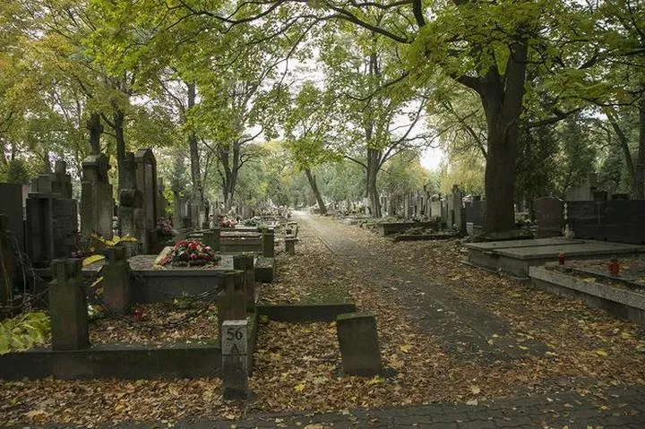 Obowiązki i odpowiedzialność zarządcy cmentarza