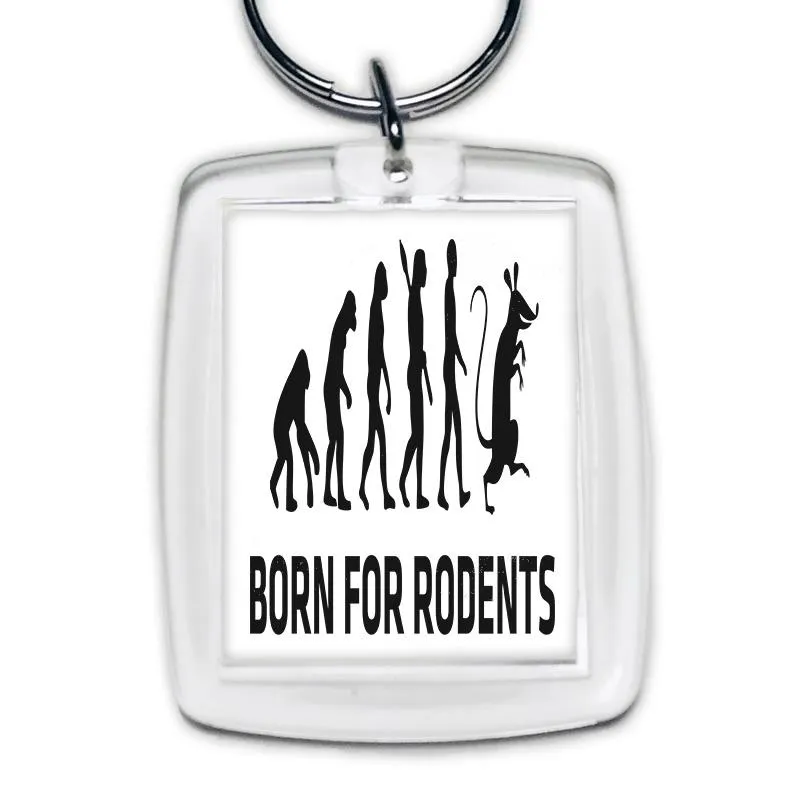 Od łaciny do współczesności