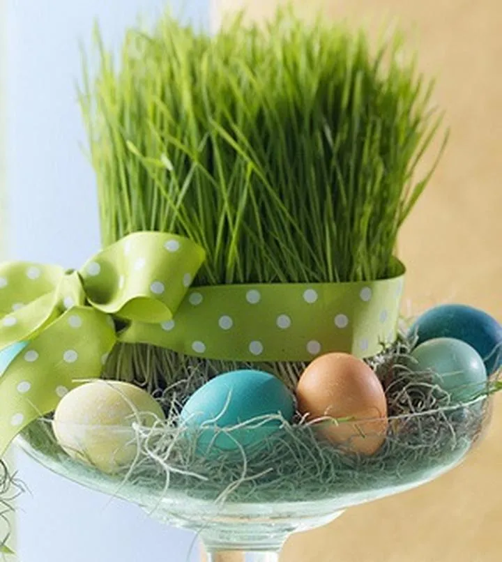 Optymalne terminy siewu owsa