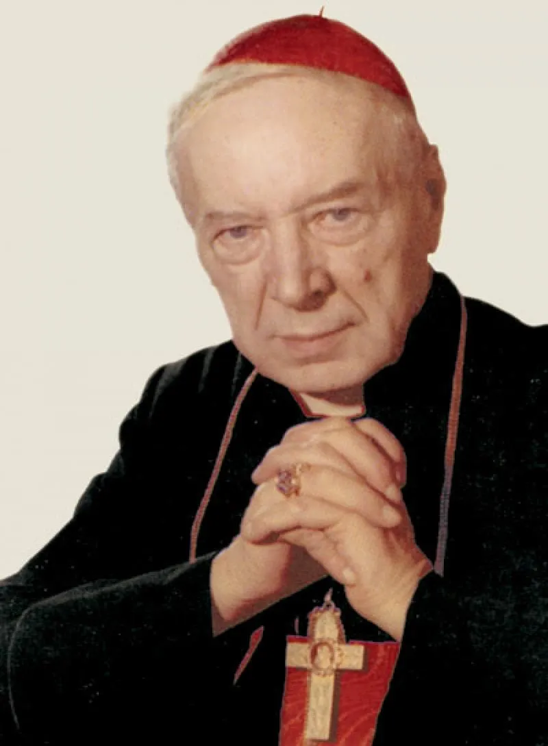 Uprawa powojnika Kardynał Wyszyński