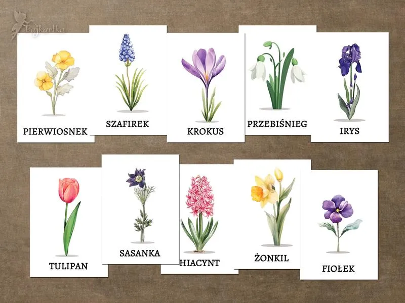 Wielkanocne kwiaty i symbolika